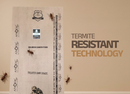 Top Furniture Design Trends Using Premium Plywood in 2026