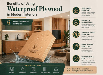 Benefits of Using Waterproof Plywood in Modern Interiors